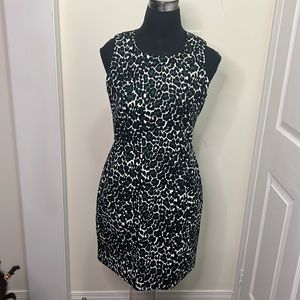 J.Crew Animal Print 100% Cotton Midi Dress Size 4